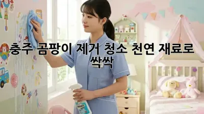 충주 곰팡이 제거 청소, 천연 재료로 싹싹 ✨