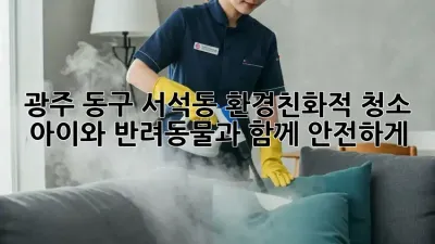 광주 동구 서석동 환경친화적 청소: 아이와 반려동물과 함께 안전하게!
